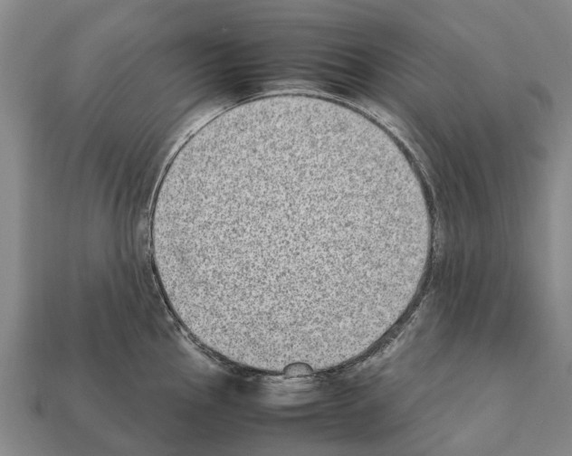 X0000111921145200909071212