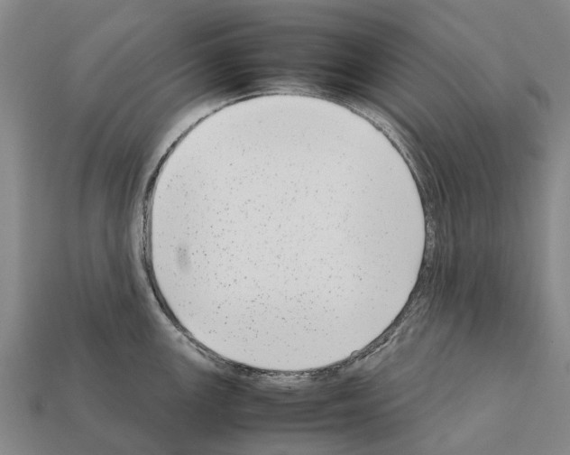 X0000111921147200909071212