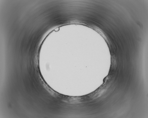 X0000111921148200909071212