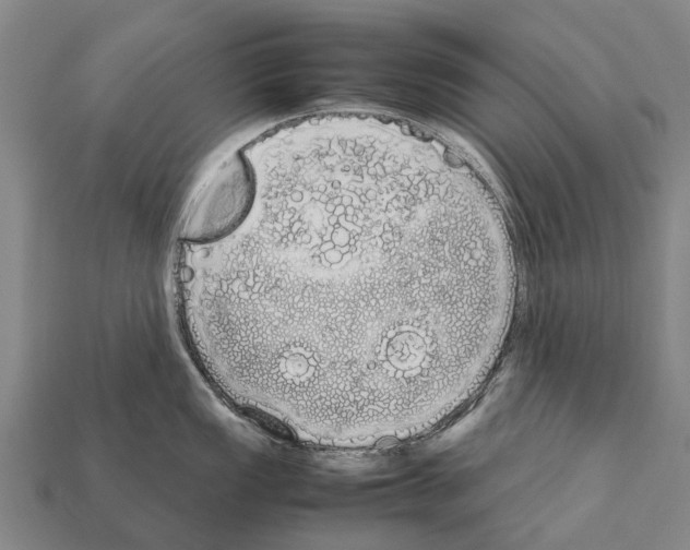 X0000111921149200909071212