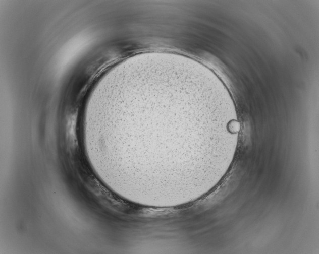 X0000111921150200909071212