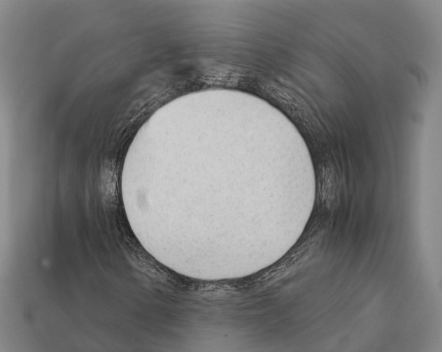 X0000111921154200909071211