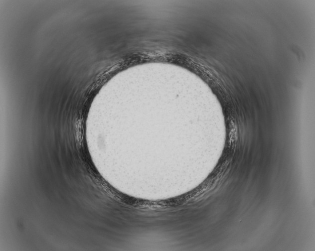 X0000111921156200909071211