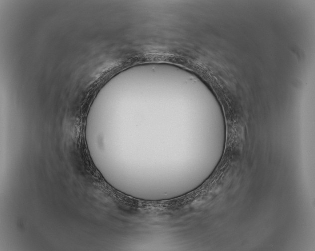 X0000111921157200909071211