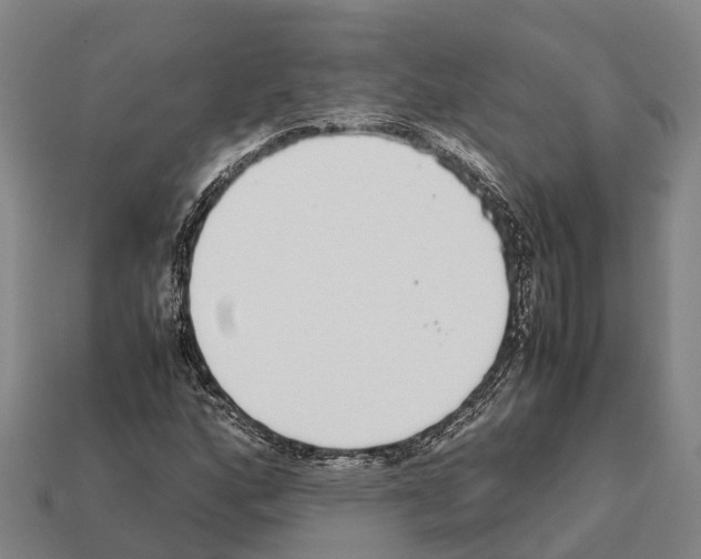 X0000111921160200909071211