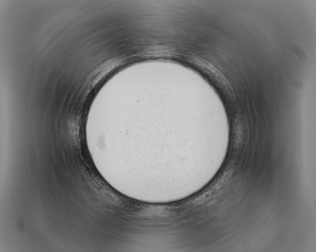 X0000111921162200909071211