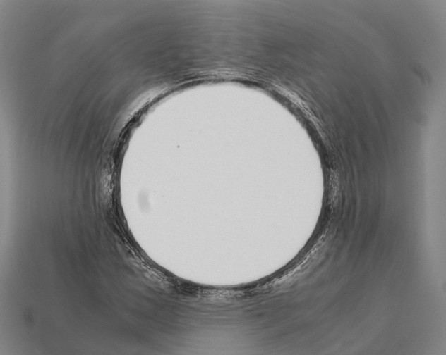 X0000111921163200909071211