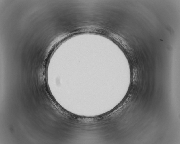 X0000111921164200909071211