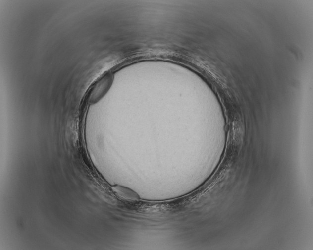 X0000111921165200909071211