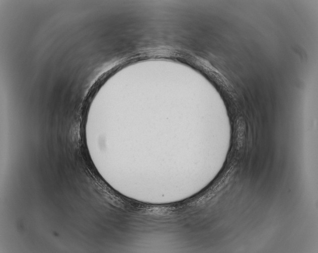 X0000111921166200909071211