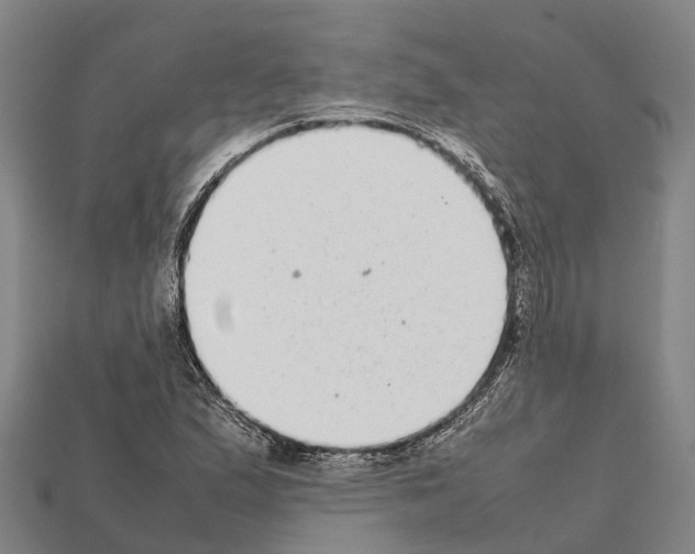 X0000111921167200909071211