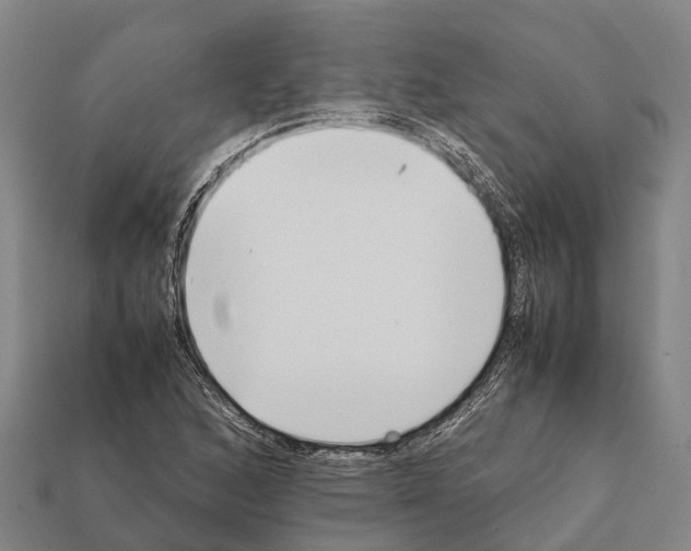 X0000111921168200909071211