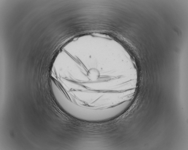 X0000111921169200909071211