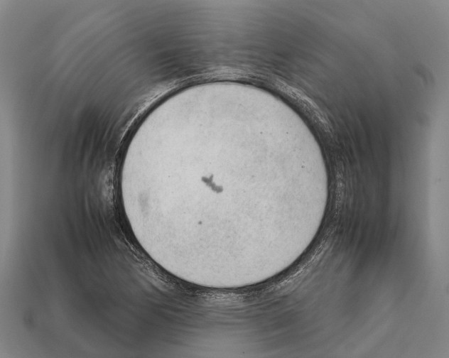 X0000111921170200909071211