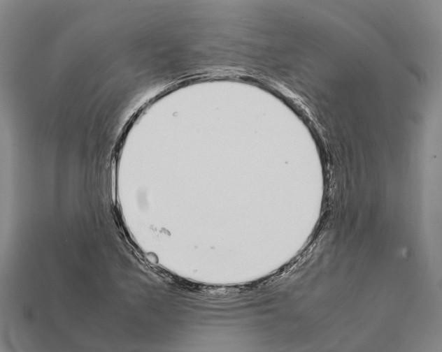 X0000111921171200909071211