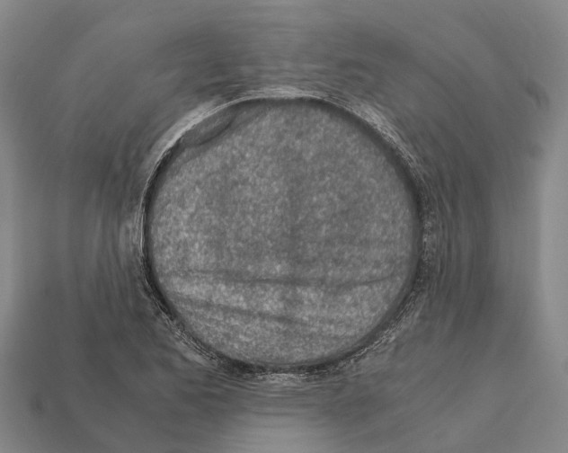 X0000111921173200909071211