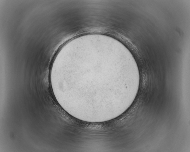 X0000111921174200909071211