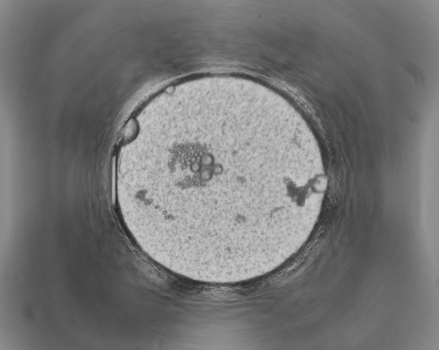 X0000111921175200909071211