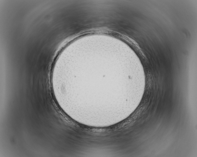 X0000111921176200909071211