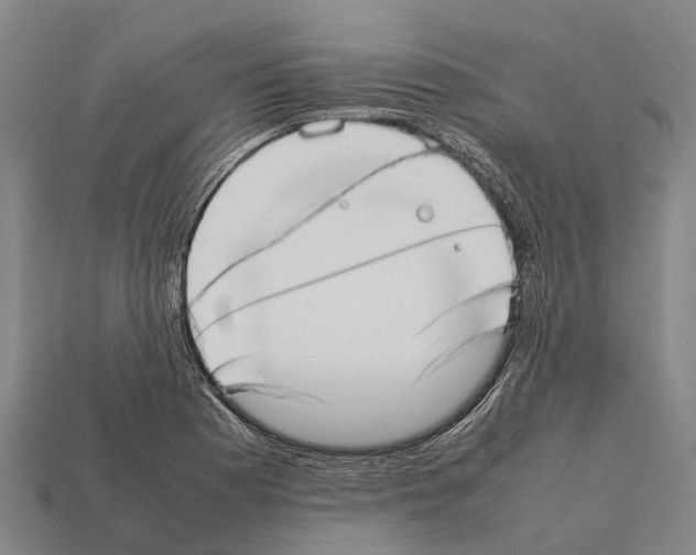 X0000111921177200909071211