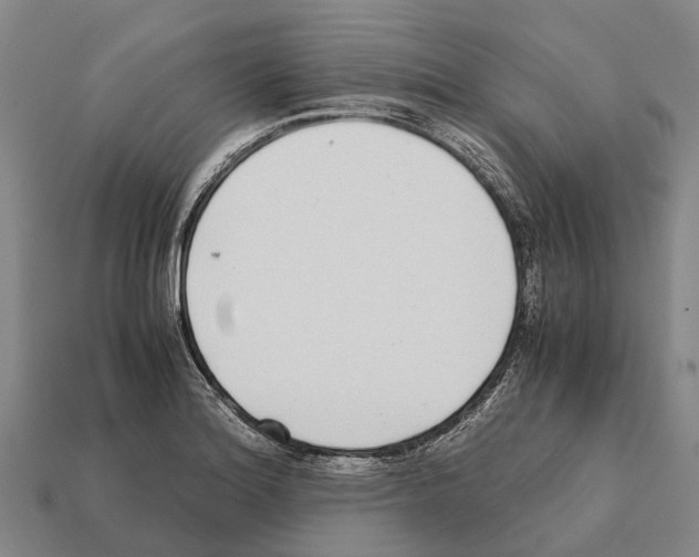 X0000111921180200909071211