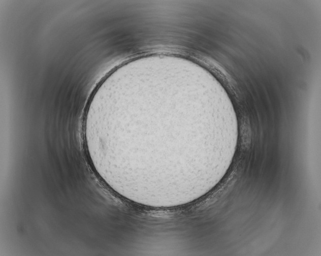 X0000111921182200909071211