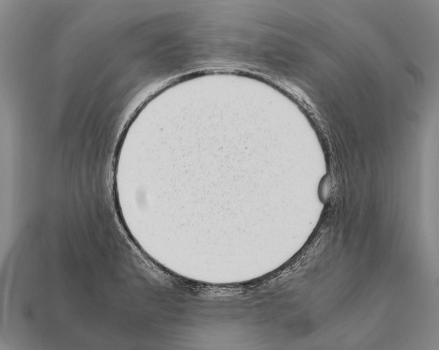 X0000111921183200909071211