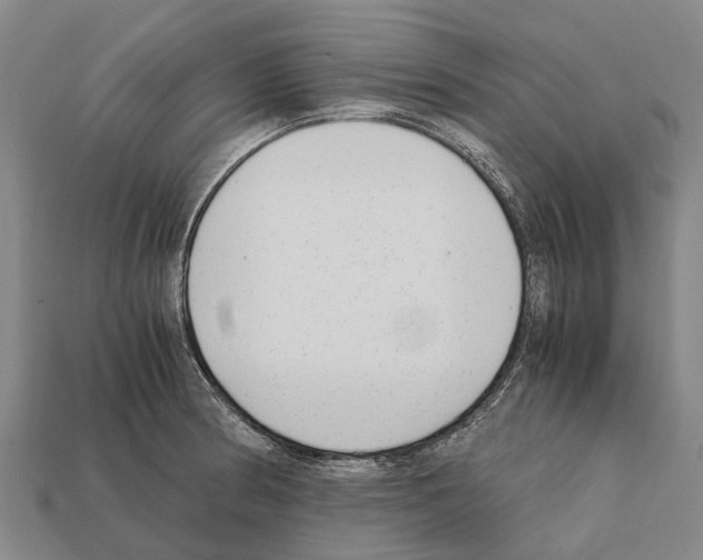 X0000111921186200909071211