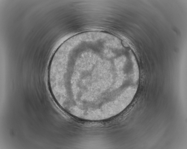 X0000111921187200909071211