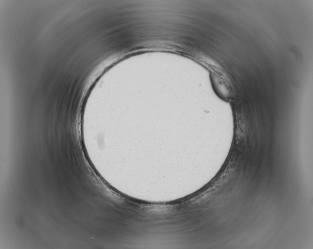 X0000111921188200909071211