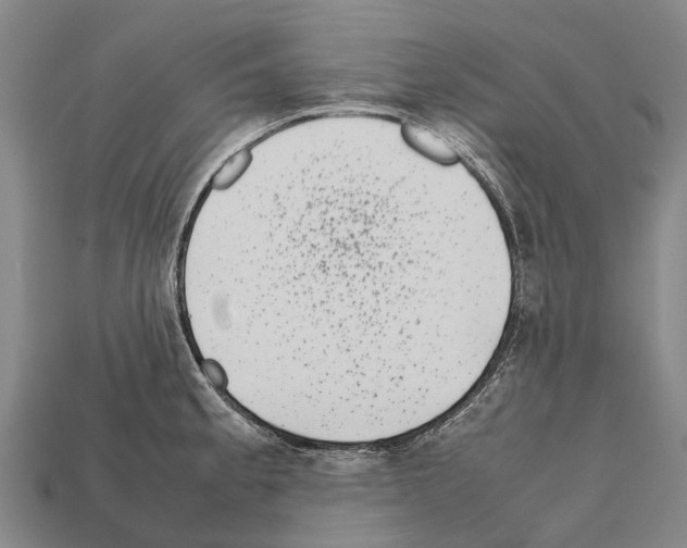 X0000111921189200909071211