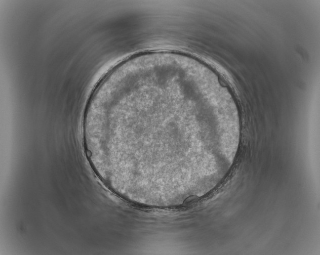 X0000111921191200909071211