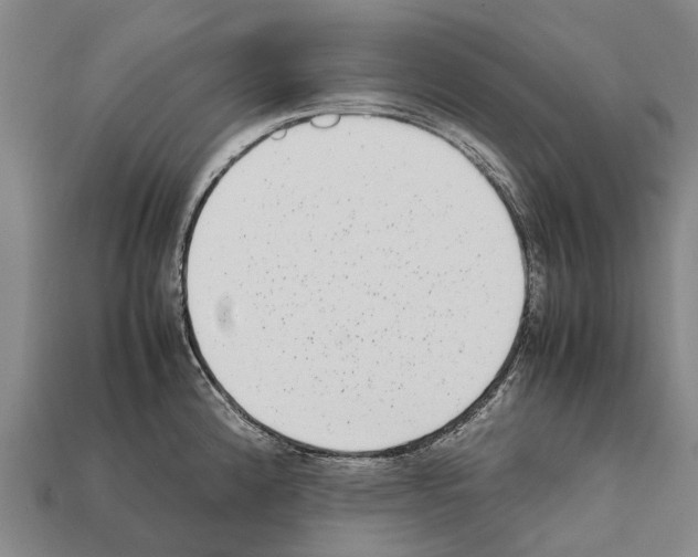 X0000111921192200909071211