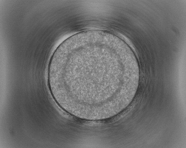 X0000111921195200909071211