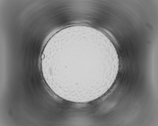 X0000111921196200909071211