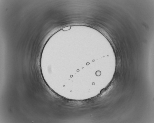 X0000111921197200909071211