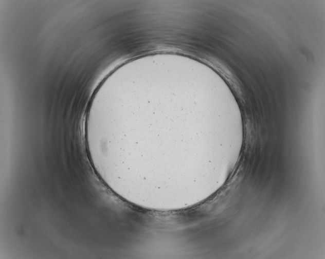 X0000111921198200909071211