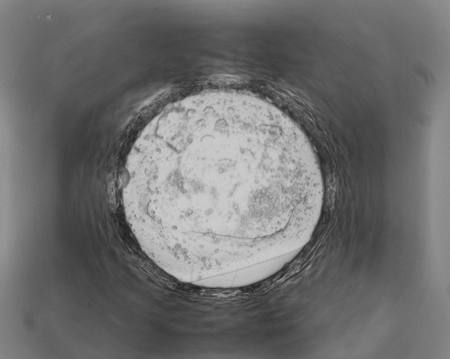 X0000111921205200909071210