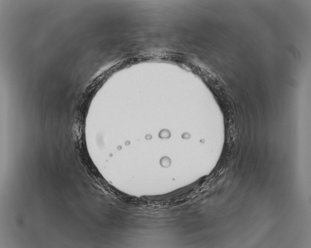 X0000111921206200909071210