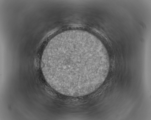 X0000111921207200909071210