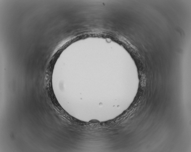 X0000111921208200909071210