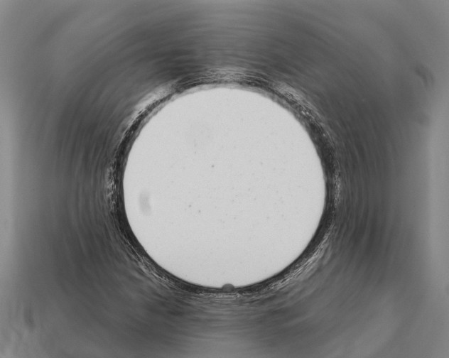 X0000111921210200909071210