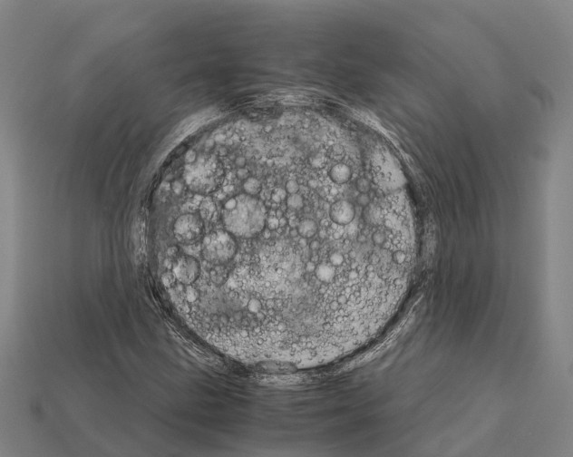 X0000111921211200909071210