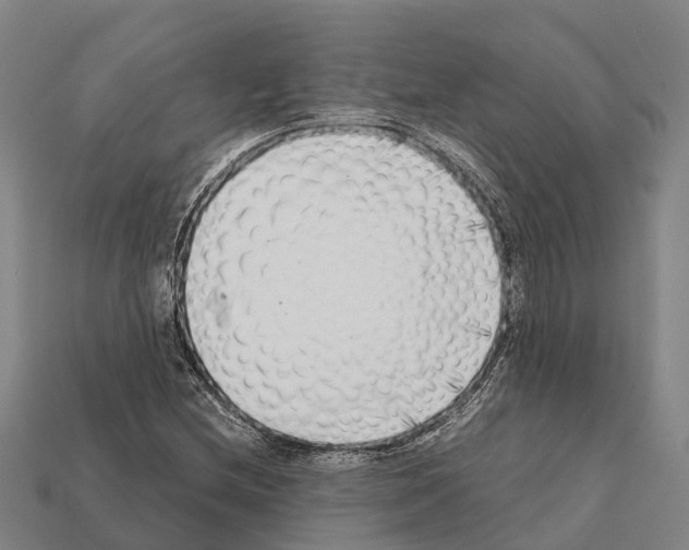 X0000111921212200909071210