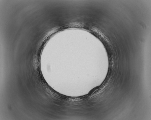 X0000111921213200909071210