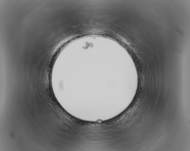 X0000111921214200909071210