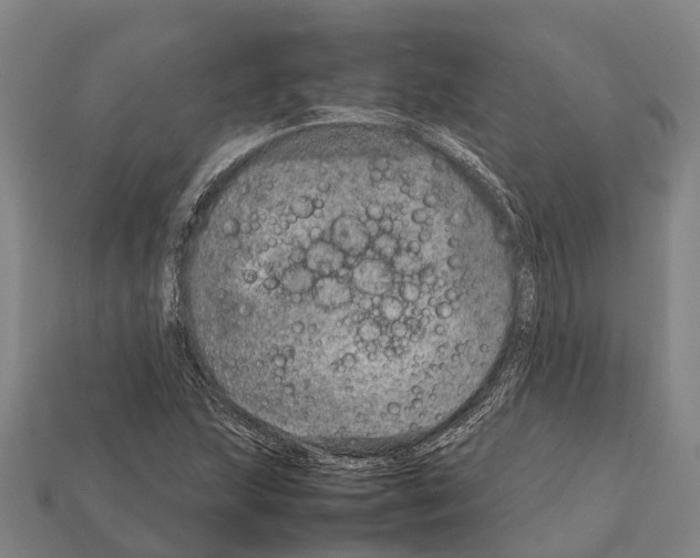 X0000111921215200909071210