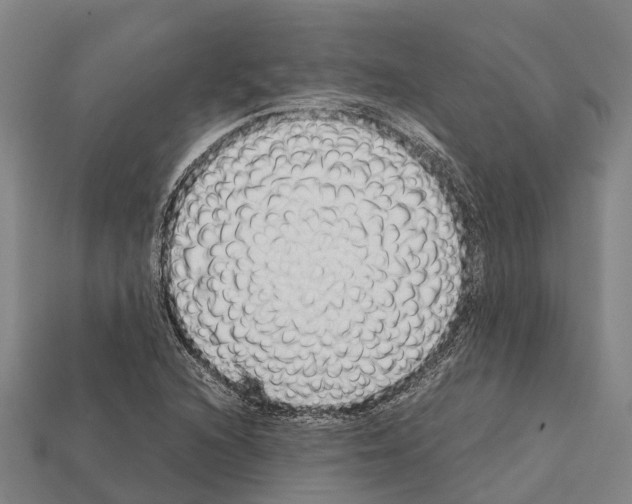 X0000111921216200909071210