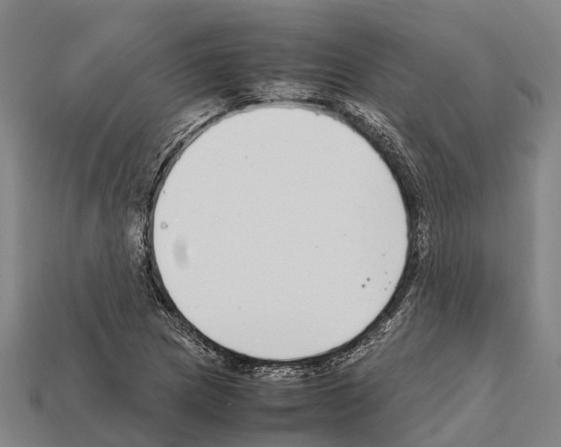 X0000111921217200909071210