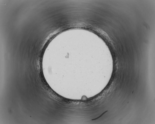 X0000111921218200909071210